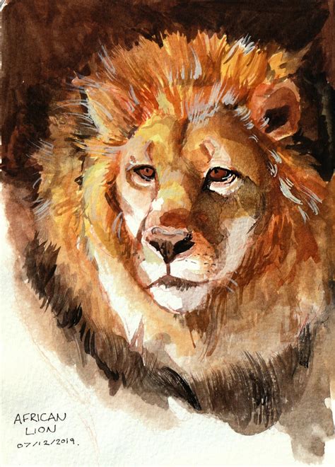 African Lion Reproduction Art 的图像结果