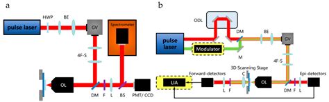 Nonlinear Optical Characterization of 2D Materials