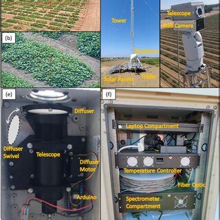 Image result for Target Field Section 2