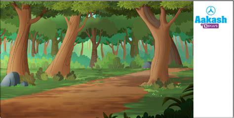 Communities in Biology: Definition, Types and Importance | AESL