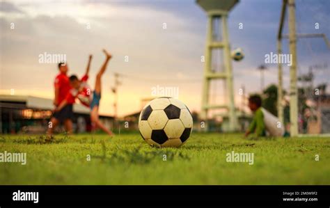 Kids Sport 的图像结果