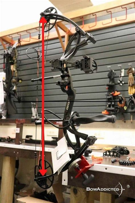 Compound Bow Basics 的图像结果