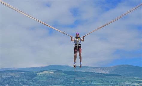 Image result for Python Cow Catapult