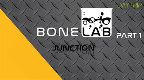 Image result for BoneLab Multiplayer Tips
