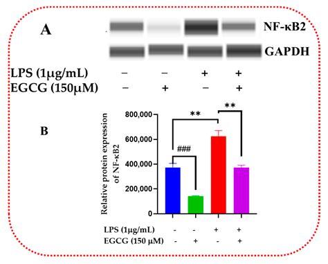 Molecular Mechanisms of the Anti-Inflammatory Effects of ...