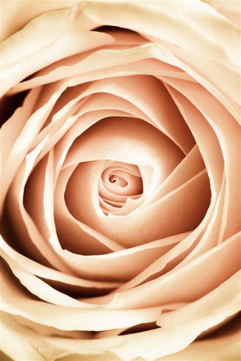 What Is Pattern 的图像结果