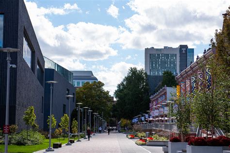 Resultado de imagen de temple university