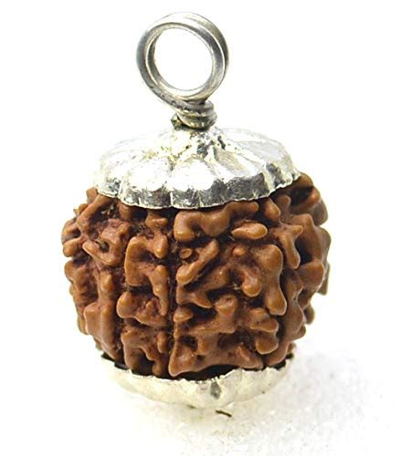Agarwal Rudraksha Natural 7 mukhi Nepali rudraksha with German Silver ...