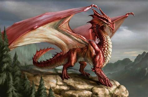 Welsh Dragon