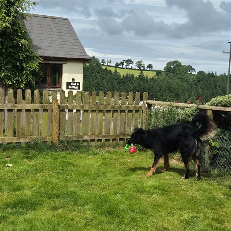 VALLEY VIEW COTTAGES (Newchapel) - Cottage Reviews & Photos - Tripadvisor