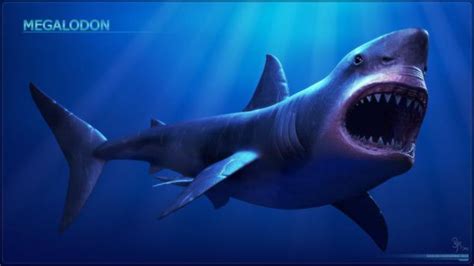 巨齿鲨其实是“短牙鲨”，它真有人们想象这么大吗？_哔哩哔哩_bilibili