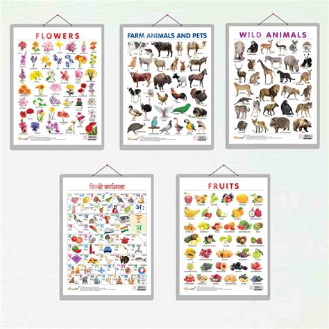 FRUITS CHART HARD LAMINATED, FLOWERS CHART HARD LAMINATED, FARM ANIMALS ...