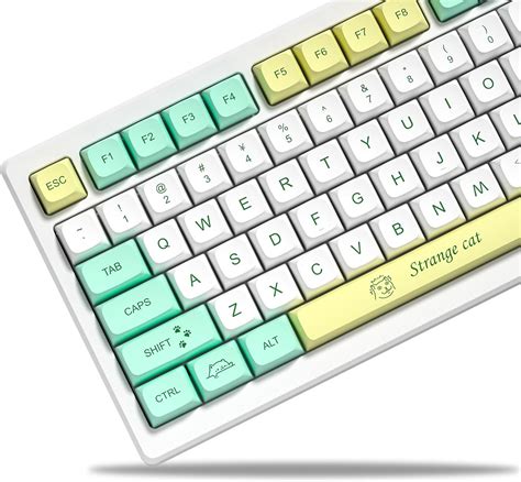 Strange Cat XDA Pbt Keycaps – CuriosityCaps