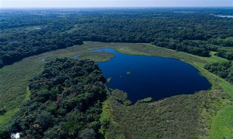 Porto Joffre Tourism (2023): Best of Porto Joffre, Brazil - Tripadvisor