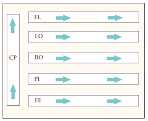 Use of an Ecosystem-Based Approach to Shed Light on the Heterogeneity ...