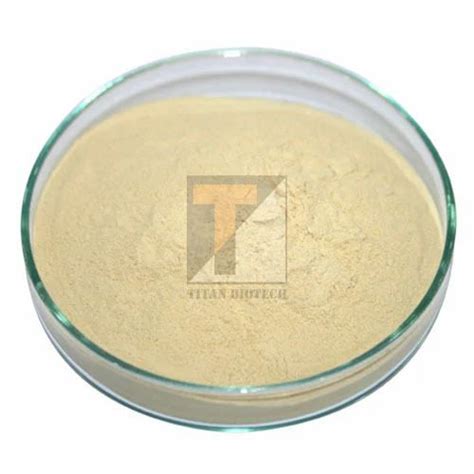 Laboratory Chemicals - Peptone Manufacturer from Bhiwadi