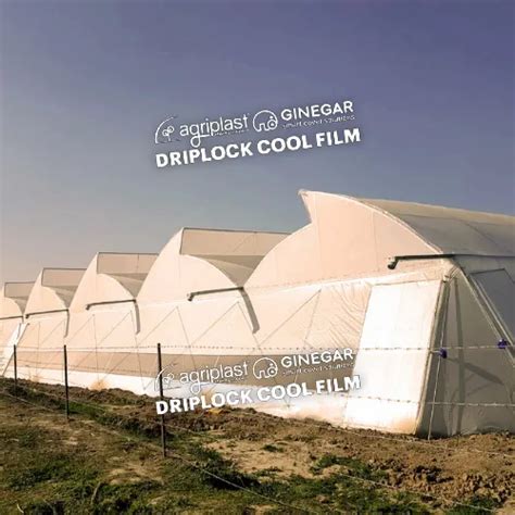 AGRIPLAST GINEGAR GREENHOUSE COVERING FILM - Ginegar Drip Lock Cool ...