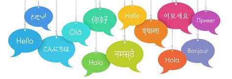 Image result for Transles