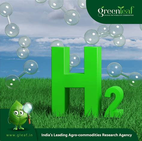 BASF produces first certified green hydrogen-based ammonia in Central ...