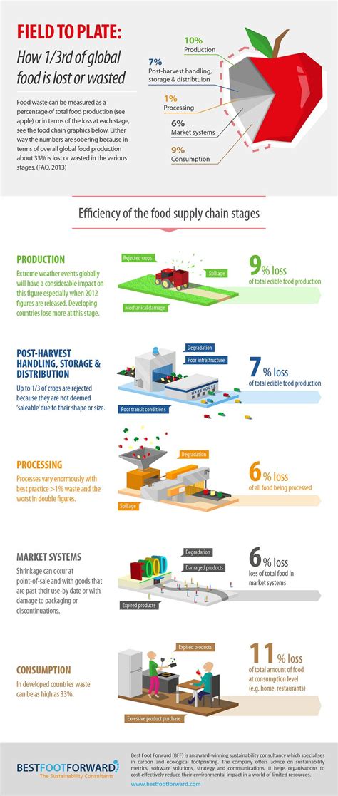 Image result for Food Waste Infographic