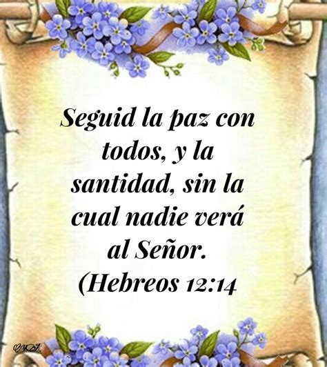 Hebreos 12:14 - Versículos de la Biblia