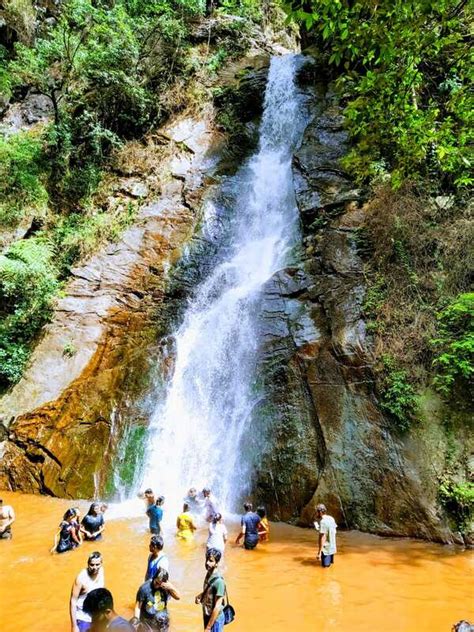 Breeze Blows, Chikmagalur - Homestay Advisor