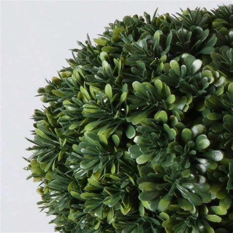 Artificial Boxwood Plant In White Planter Box | SHEIN USA