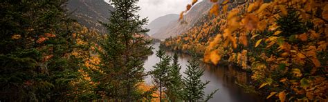 Download wallpaper autumn, trees, mountains, branches, river, ate ...