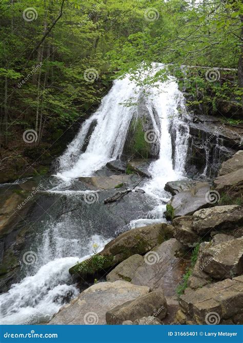 Roaring Run Waterfall, Eagle Rock, VA Stock Image - Image of hiking ...