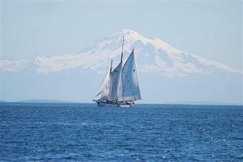 SCHOONER ZODIAC - DAY CRUISE - All You Need to Know BEFORE You Go 2026 ...