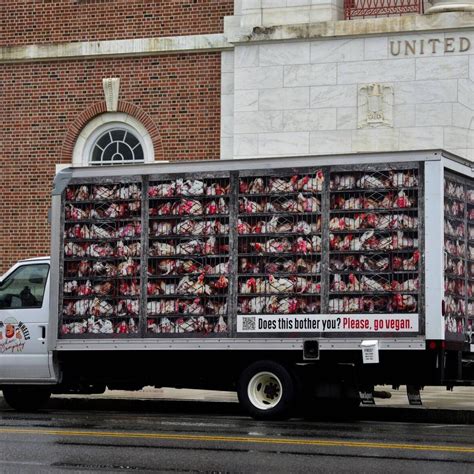 Annette Pike Obituary | Deaths | caledonianrecord.com