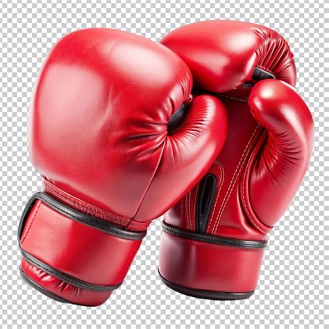 Boxing Transparent 的图像结果