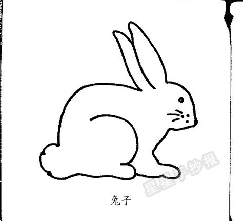 十二生肖兔的卡通简笔画彩色 简笔画图片大全-蒲城教育文学网