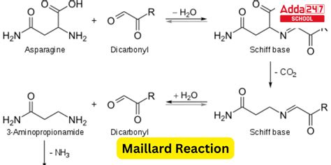 Maillard Reaction Temperature, Mechanism, Examples