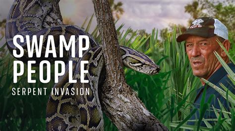 Watch Swamp People: Serpent Invasion Online - Stream Full Episodes