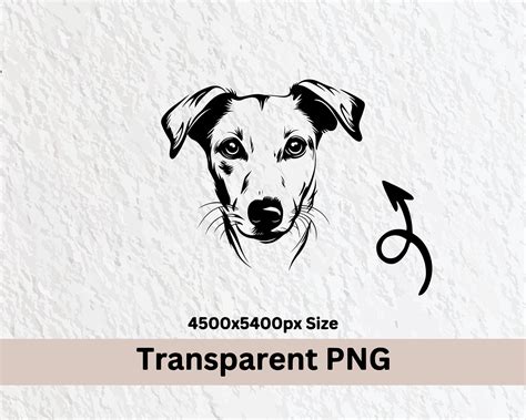 Lurcher Dog SVG Bundle: Silhouette Clipart, Vector Cut Files - Etsy UK