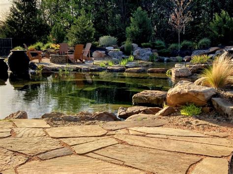 Using a Pool as a Pond 的图像结果