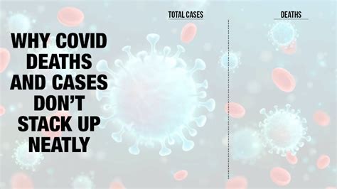 Why Covid deaths and cases don’t stack up neatly | India News - Times ...