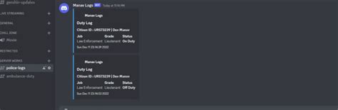Fivem Logs Script 的图像结果