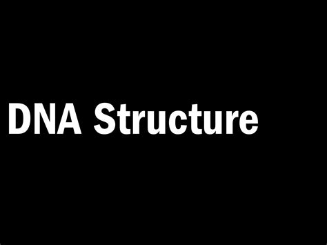 DNA 的图像结果