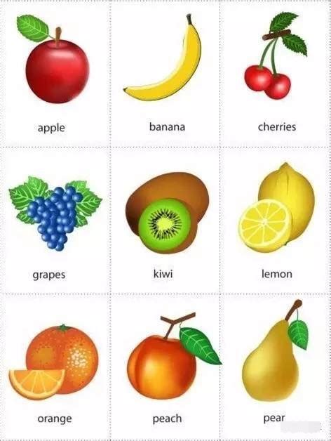 fruit是什么意思-fruit是什么意思,fruit,是,什么,意思 - 早旭阅读