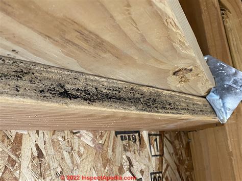 Treating Mildew On Wood