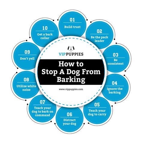 Dog Barking: How to Stop a Dog from Barking | How to stop puppy from ...