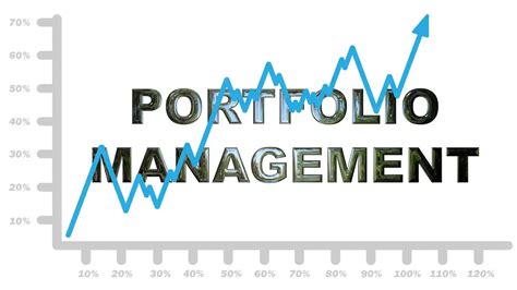 Portfolio Management Example 的图像结果