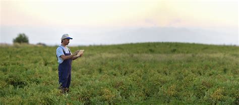 One site links you to community development solutions, data and ...