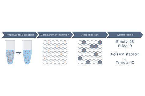 Image result for Digital PCR Tutorial