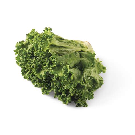 Loose Leaf Lettuce