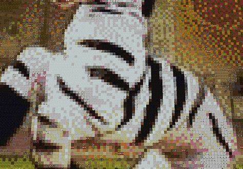 Image result for Minecraft Zebra