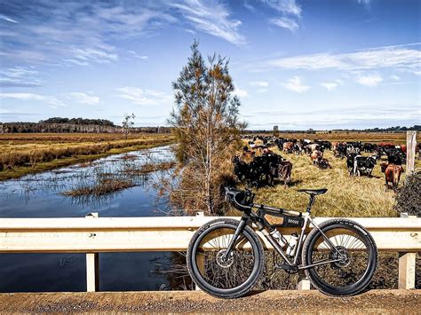 AUSSIE BIKE OR HIKE (2026) All You Need to Know BEFORE You Go (with ...