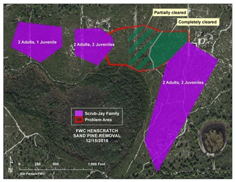 Ridge Rangers January 2019 Newsletter